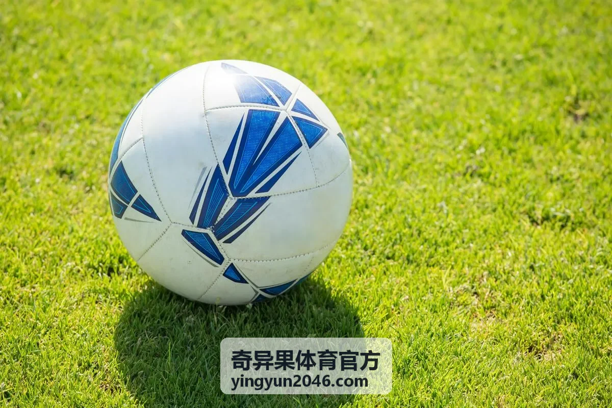 奇异果体育官方会员运营方案场景